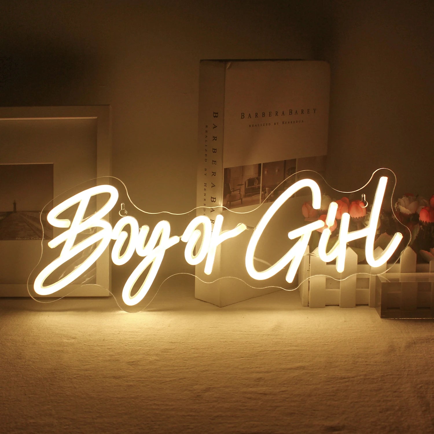 Boy or Girl Neon Sign