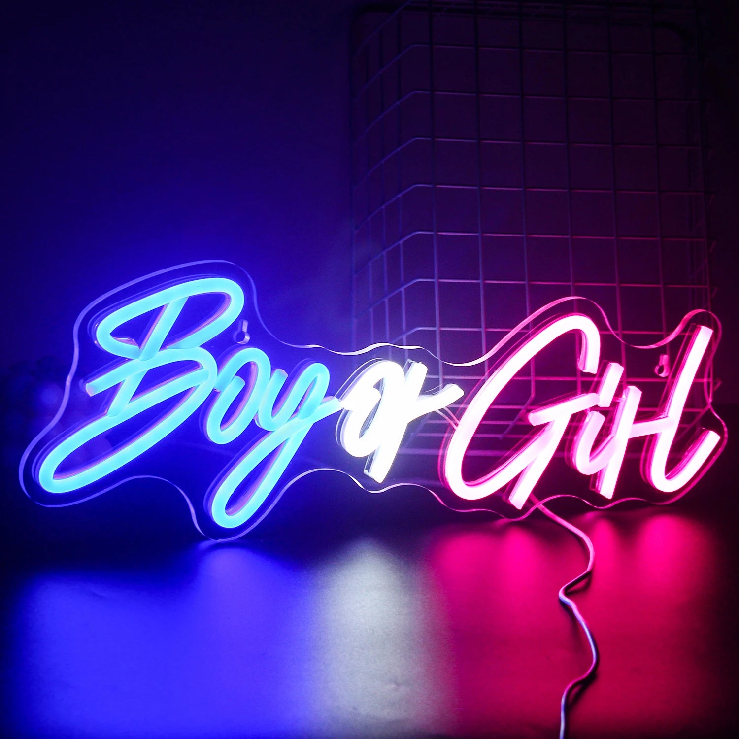 Boy or Girl Neon Sign