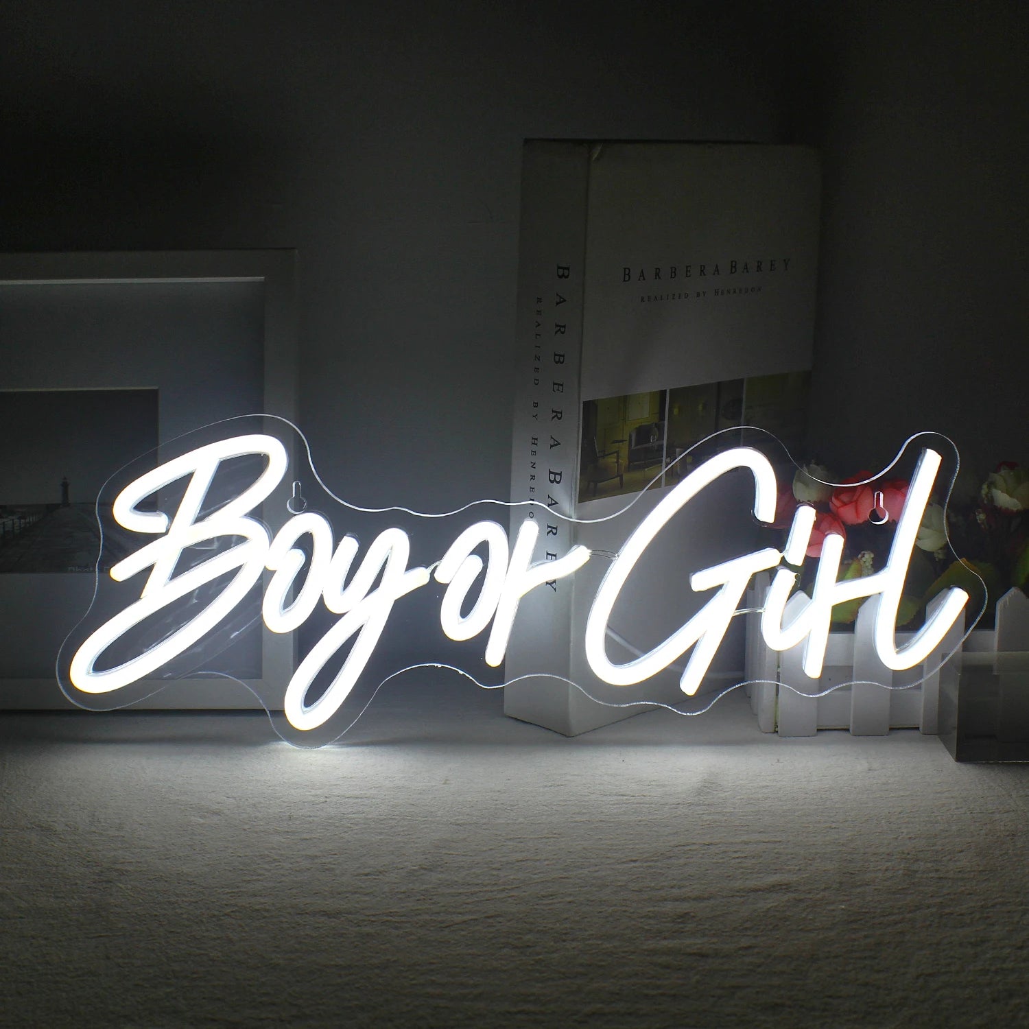 Boy or Girl Neon Sign
