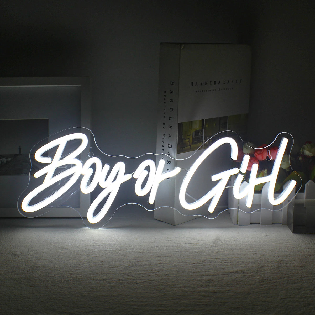 Boy or Girl Neon Sign