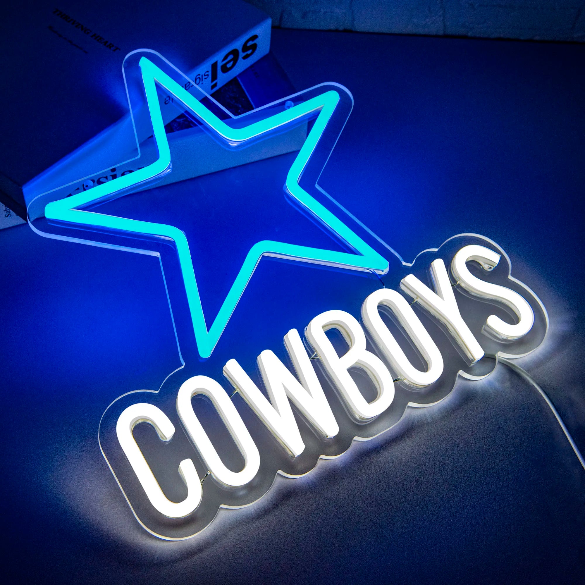 Neon Sign for Wall Decor