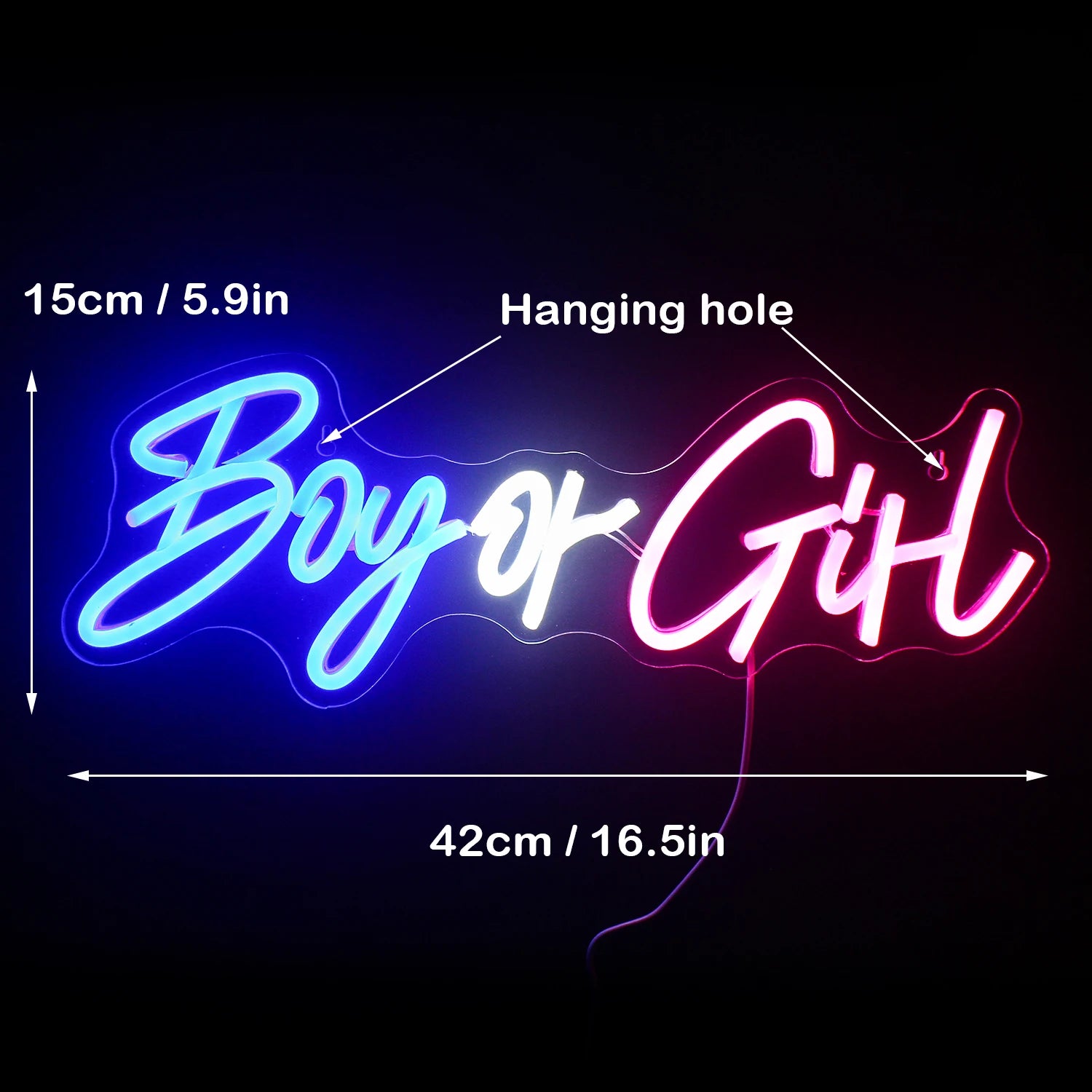 Boy or Girl Neon Sign